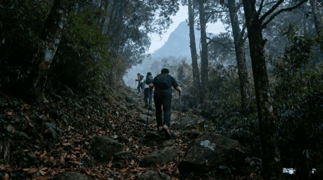 熊猫加速器帮你轻松突破网络限制梯子推荐